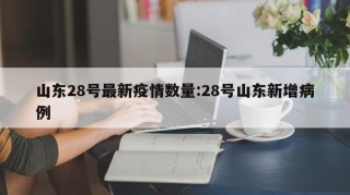 山东28号最新疫情数量:28号山东新增病例
