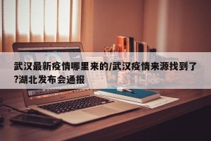 武汉最新疫情哪里来的/武汉疫情来源找到了?湖北发布会通报