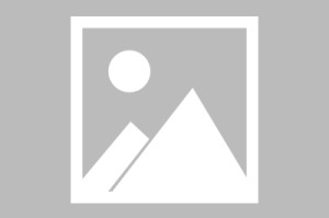 【霸州疫情最新解封情况图/霸州疫情最新数据消息】